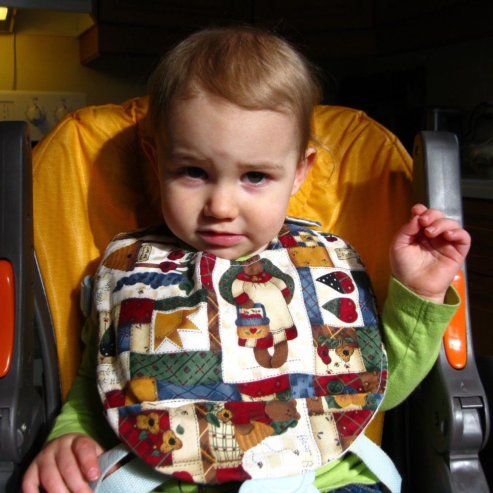Baby Bibs with Organic Flannel Backing